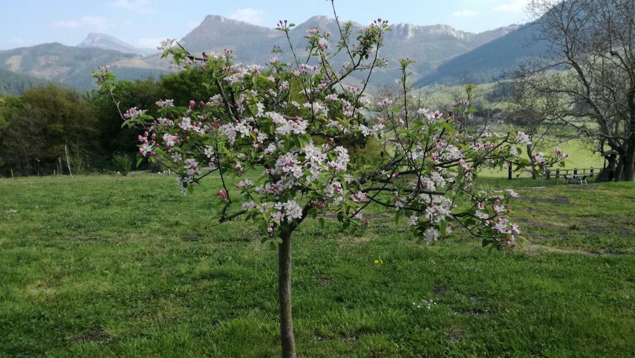 Casa Rural Urkulu Landetxea Arechavaleta Exteriör bild